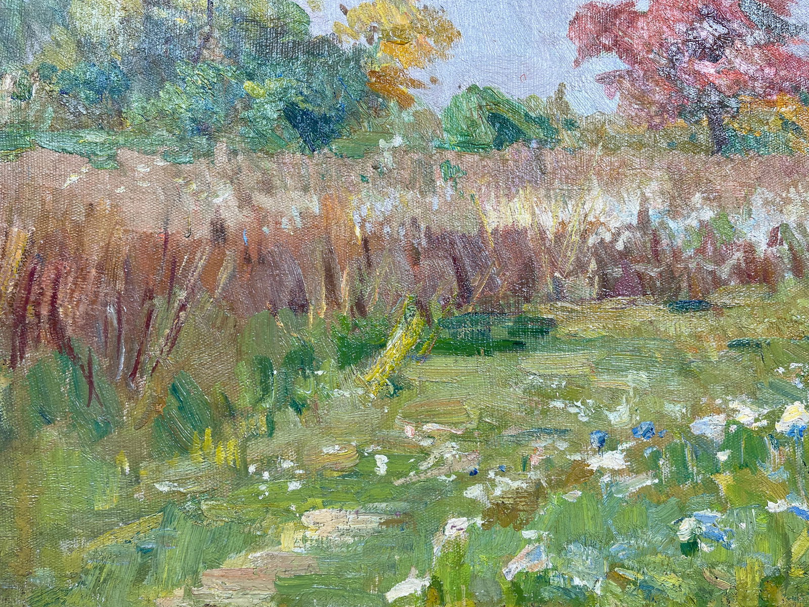 Oil painting Autumn meadow Kogan-Shatz - 6