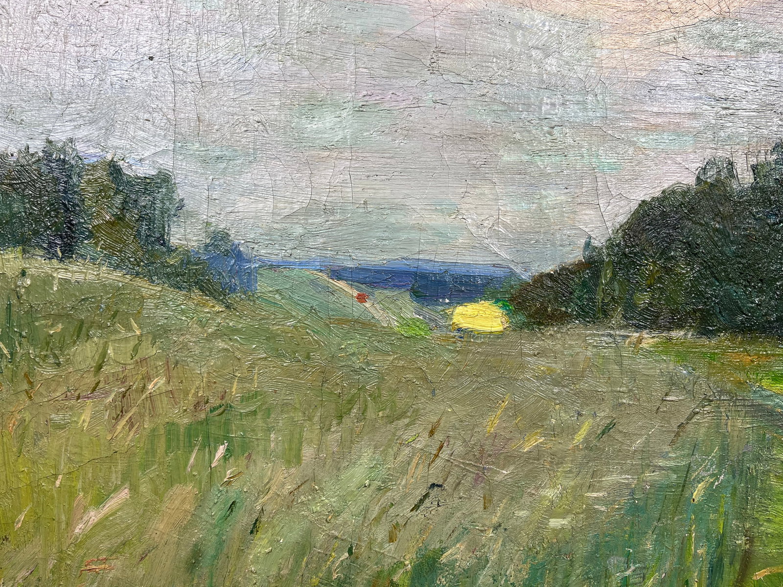 Oil painting Summer sunset Kogan-Shatz - 10