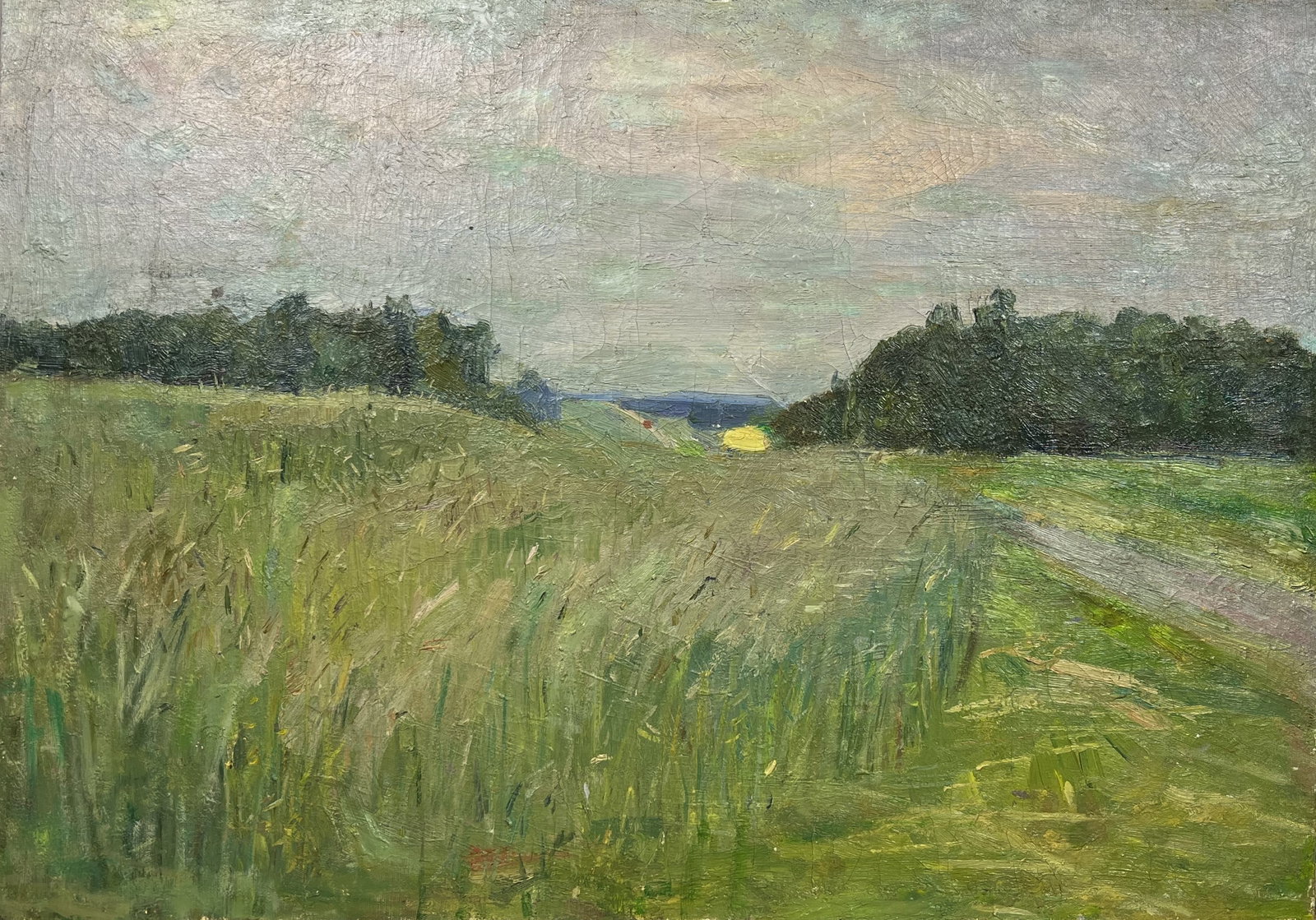 Oil painting Summer sunset Kogan-Shatz - 3