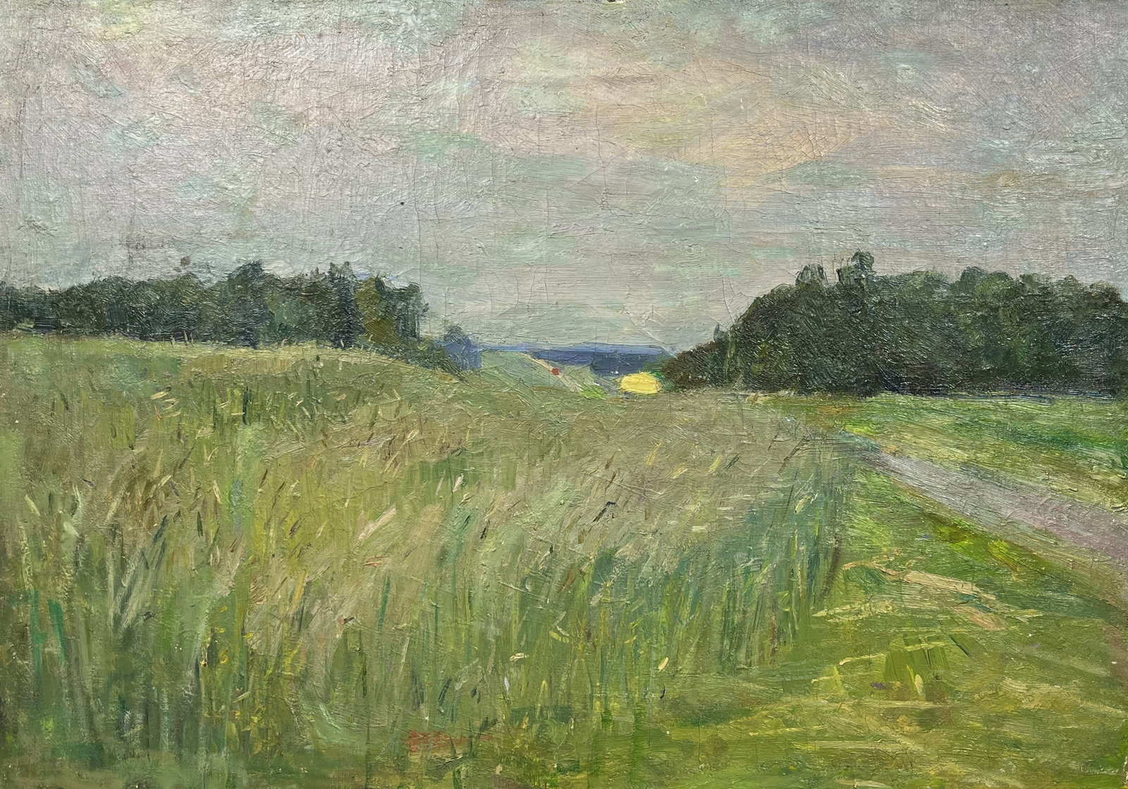 Oil painting Summer sunset Kogan-Shatz - 4