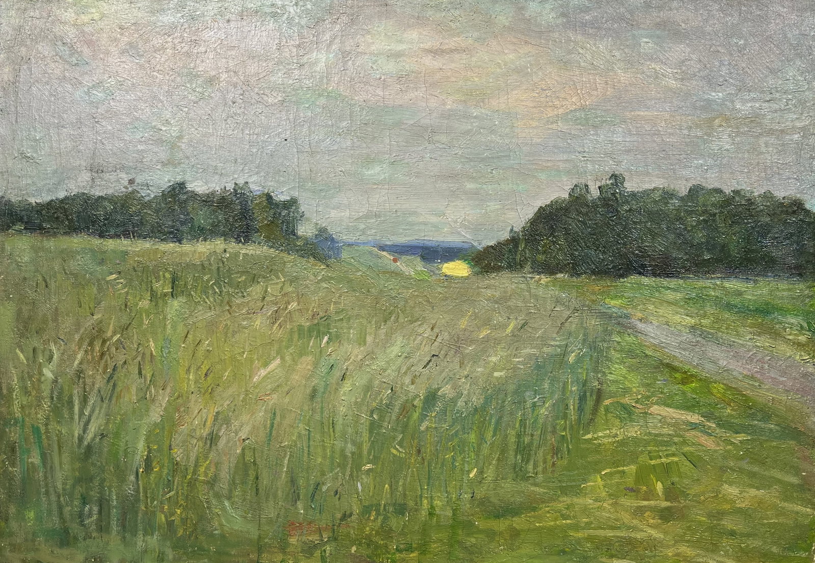 Oil painting Summer sunset Kogan-Shatz - 5