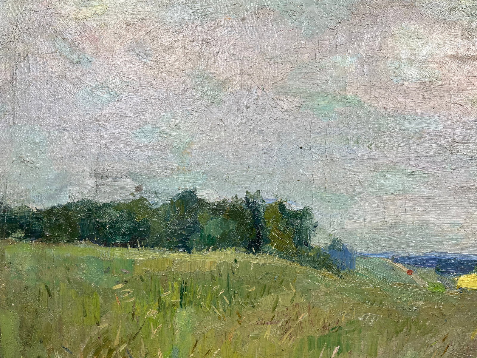 Oil painting Summer sunset Kogan-Shatz - 6