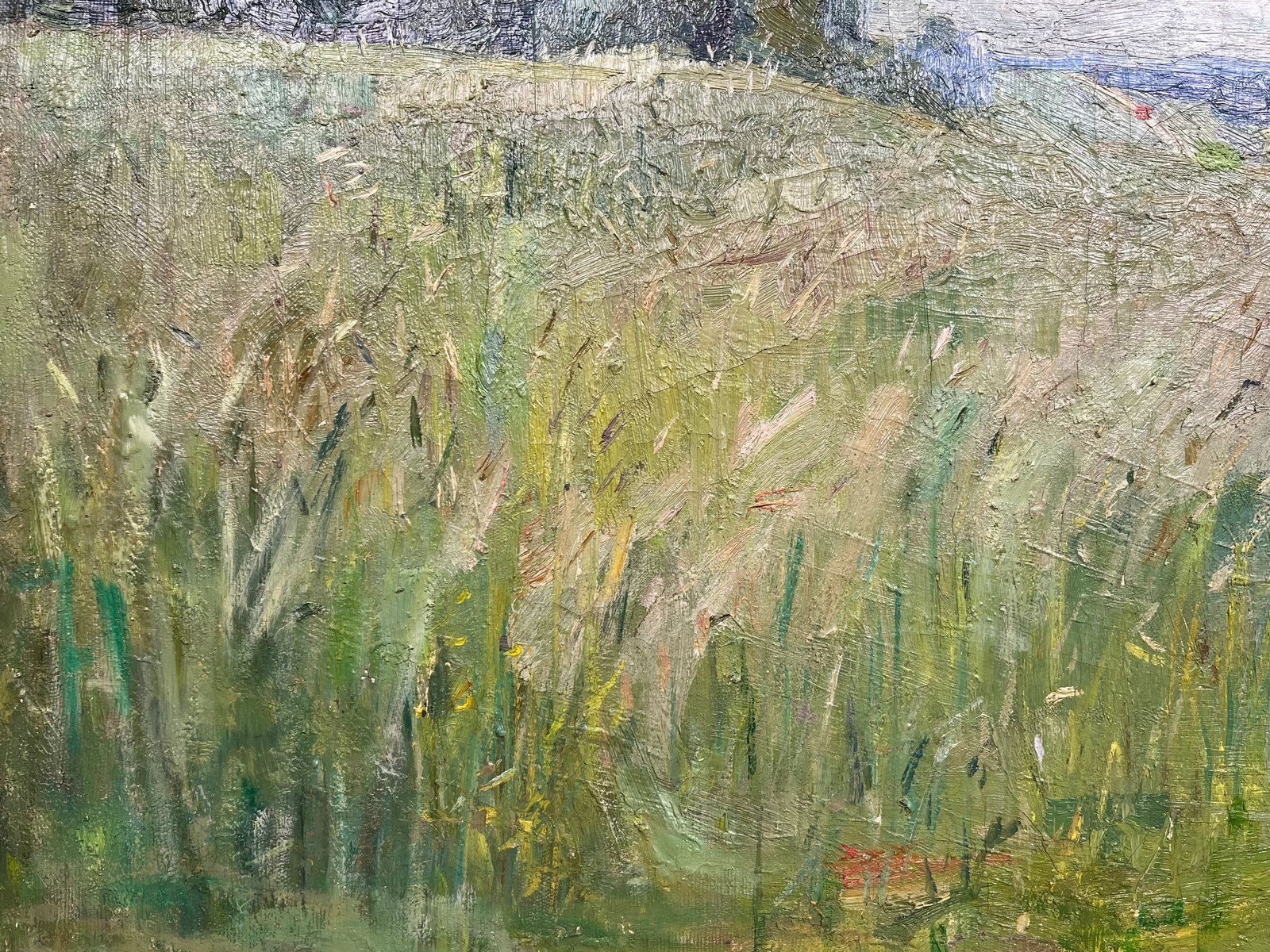 Oil painting Summer sunset Kogan-Shatz - 8