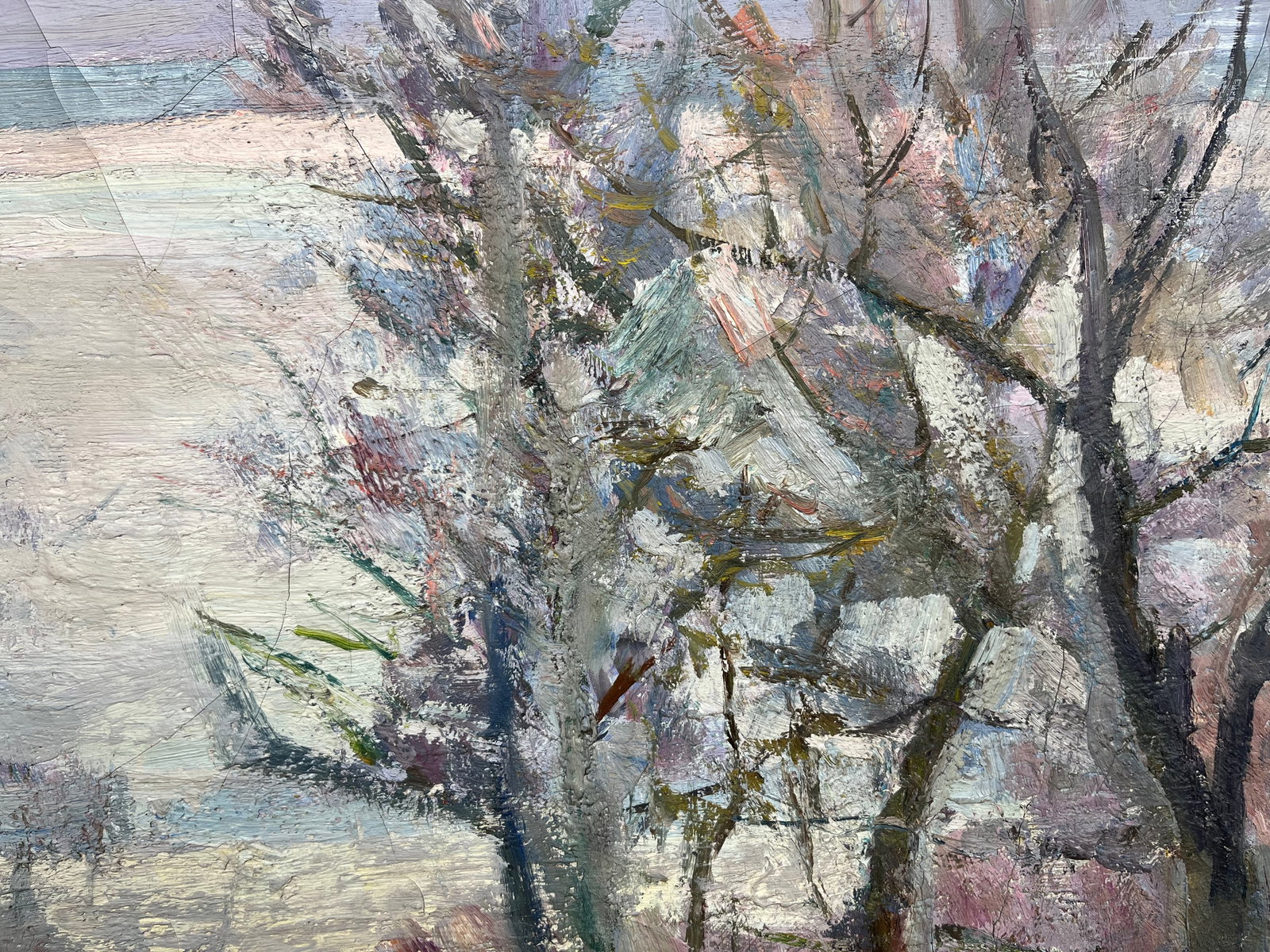 Oil painting Snowy expanse Kogan-Shatz - 11