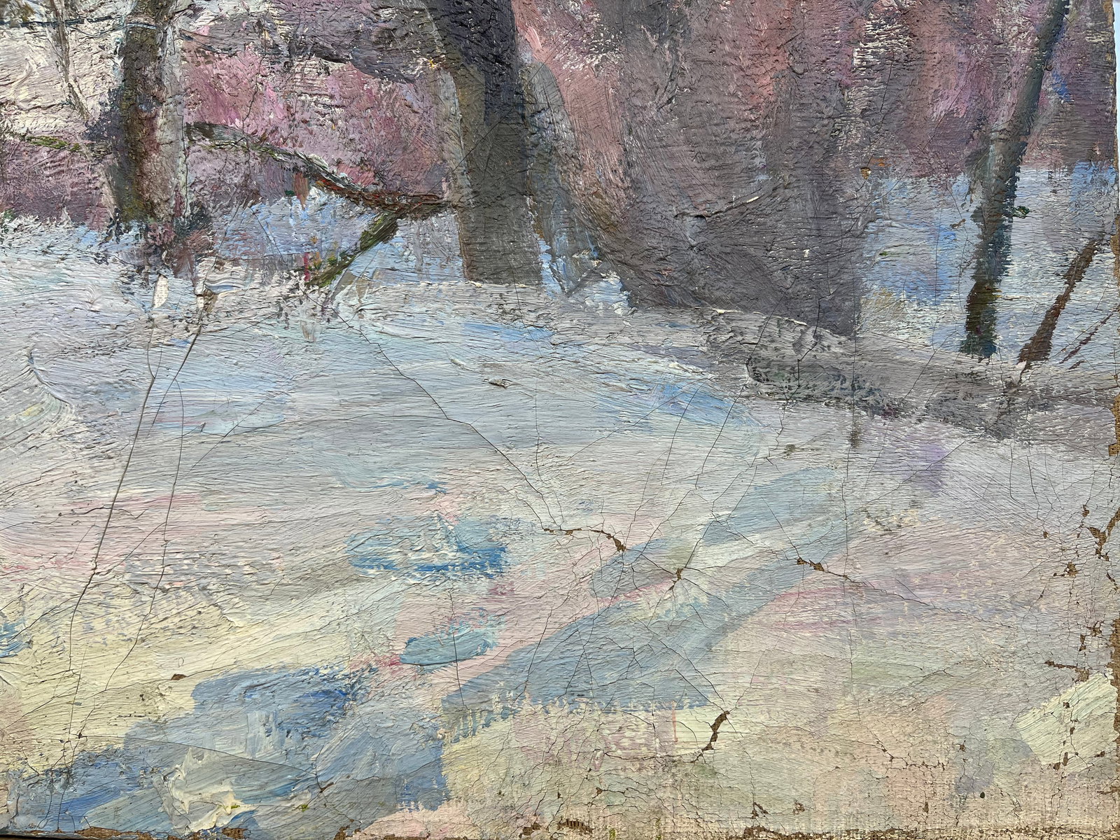 Oil painting Snowy expanse Kogan-Shatz - 9
