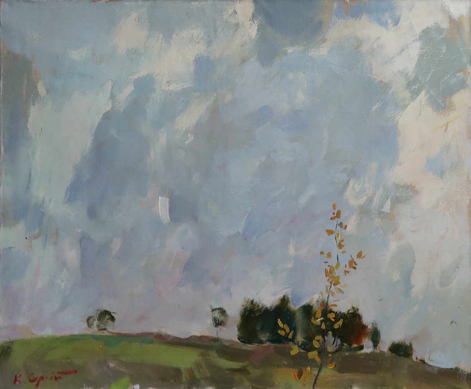 Oil painting Serg Kovalenko: Title: Oil painting Serg Kovalenko Description: 89SK Painter: Serg Kovalenko S?ze: 50x60 cm/19.7x23.6 inches Components: oil, canvas Original painting CONDITION: exellent ERA: modern Graduated from th