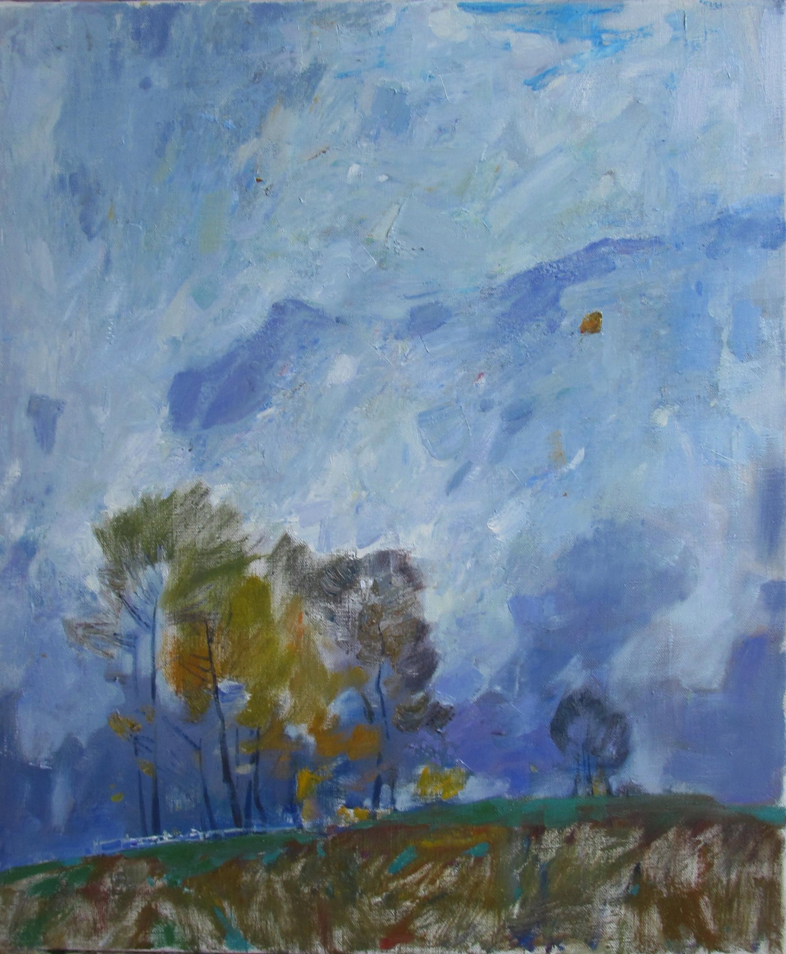 Oil painting wind Serg Kovalenko: Title: Oil painting wind Serg Kovalenko Description: 90SK Painter: Serg Kovalenko S?ze: 60x50 cm/23.6x19.7 inches Components: oil, canvas Original painting CONDITION: exellent ERA: modern Graduated fr