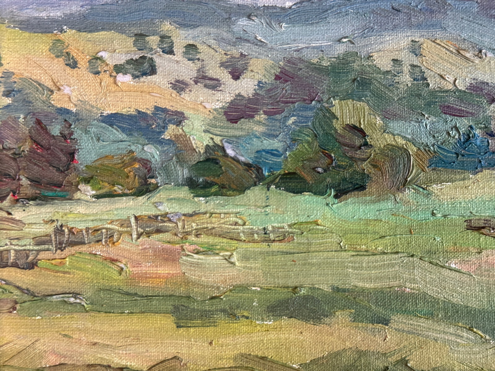 Oil painting with farme Carpathians. Chorna Tysa K. Leonid - 9