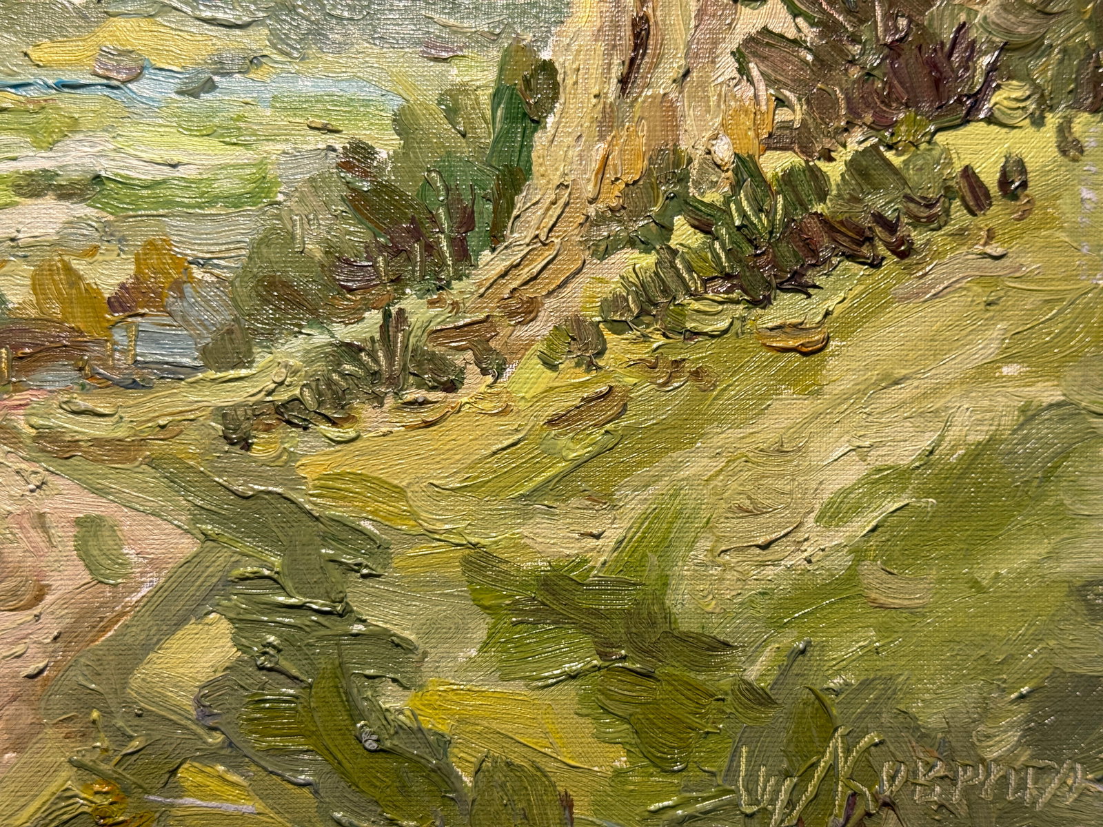 Oil painting Carpathians Verkhnye Synevydne K. Leonid - 5