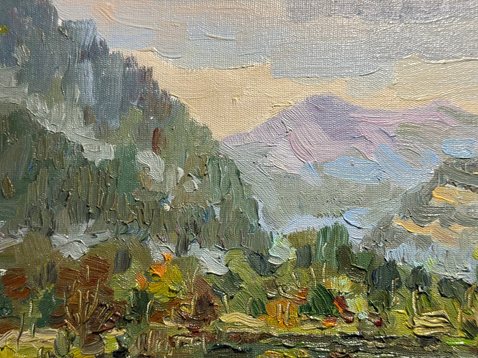 Oil painting the city of Skole Pond K. Leonid - 2