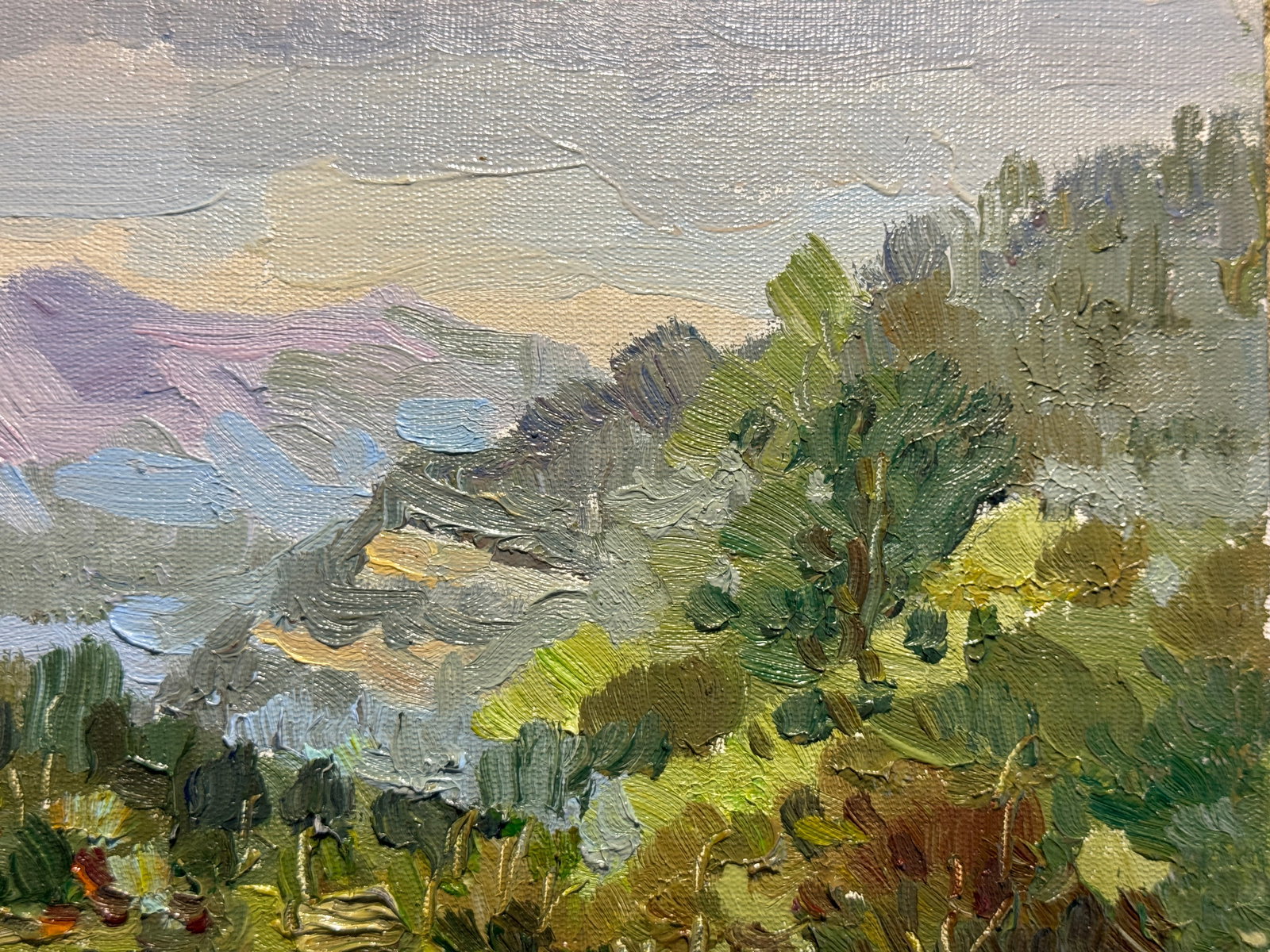 Oil painting the city of Skole Pond K. Leonid - 5