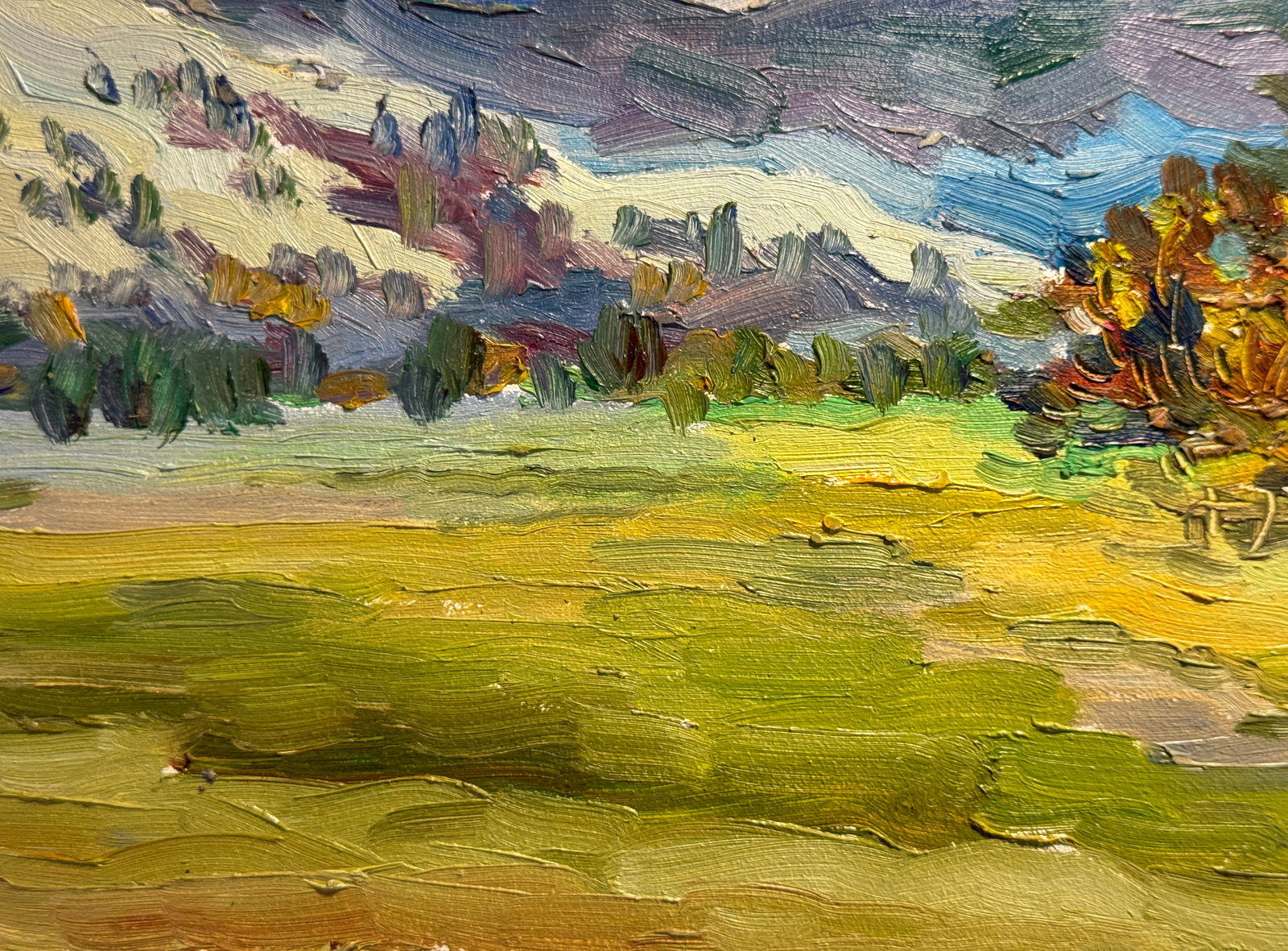 Oil painting Carpathian village Chorna Tysa K. Leonid - 6