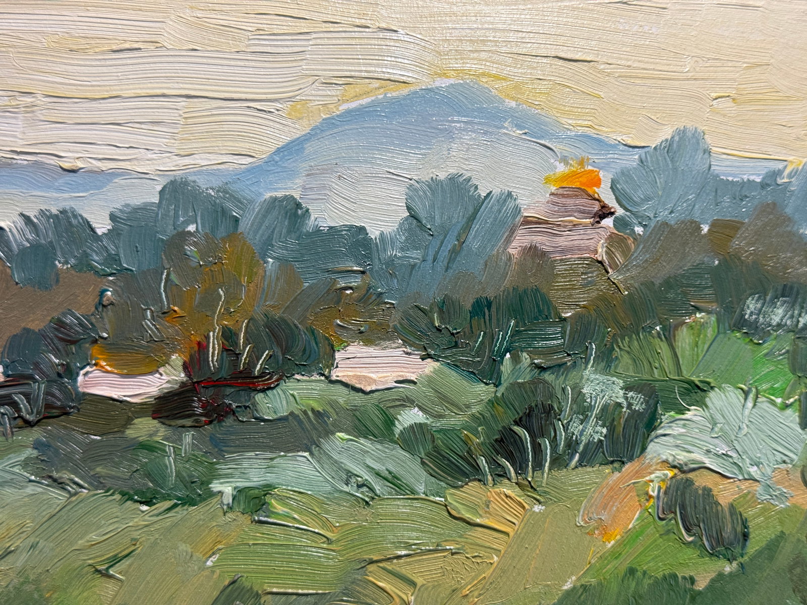 Oil painting in the countryside K. Leonid - 3