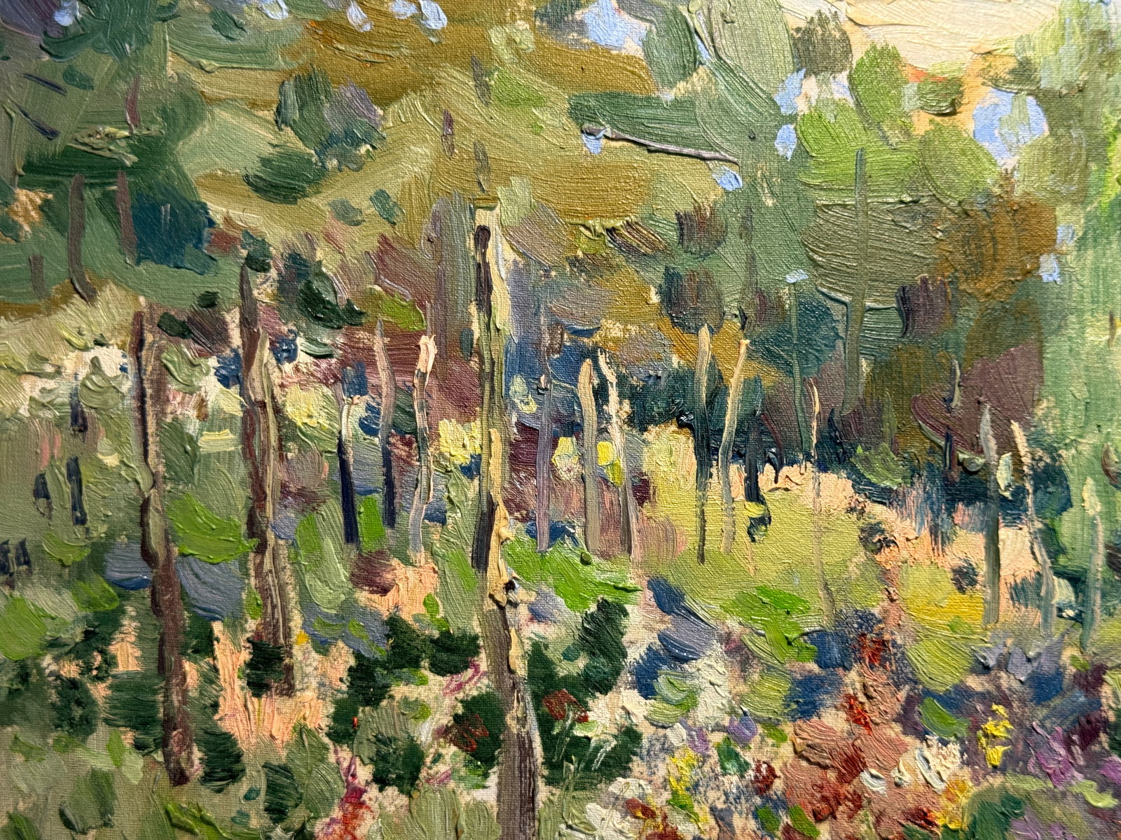 Oil painting An overgrown vegetable garden K. Leonid - 3