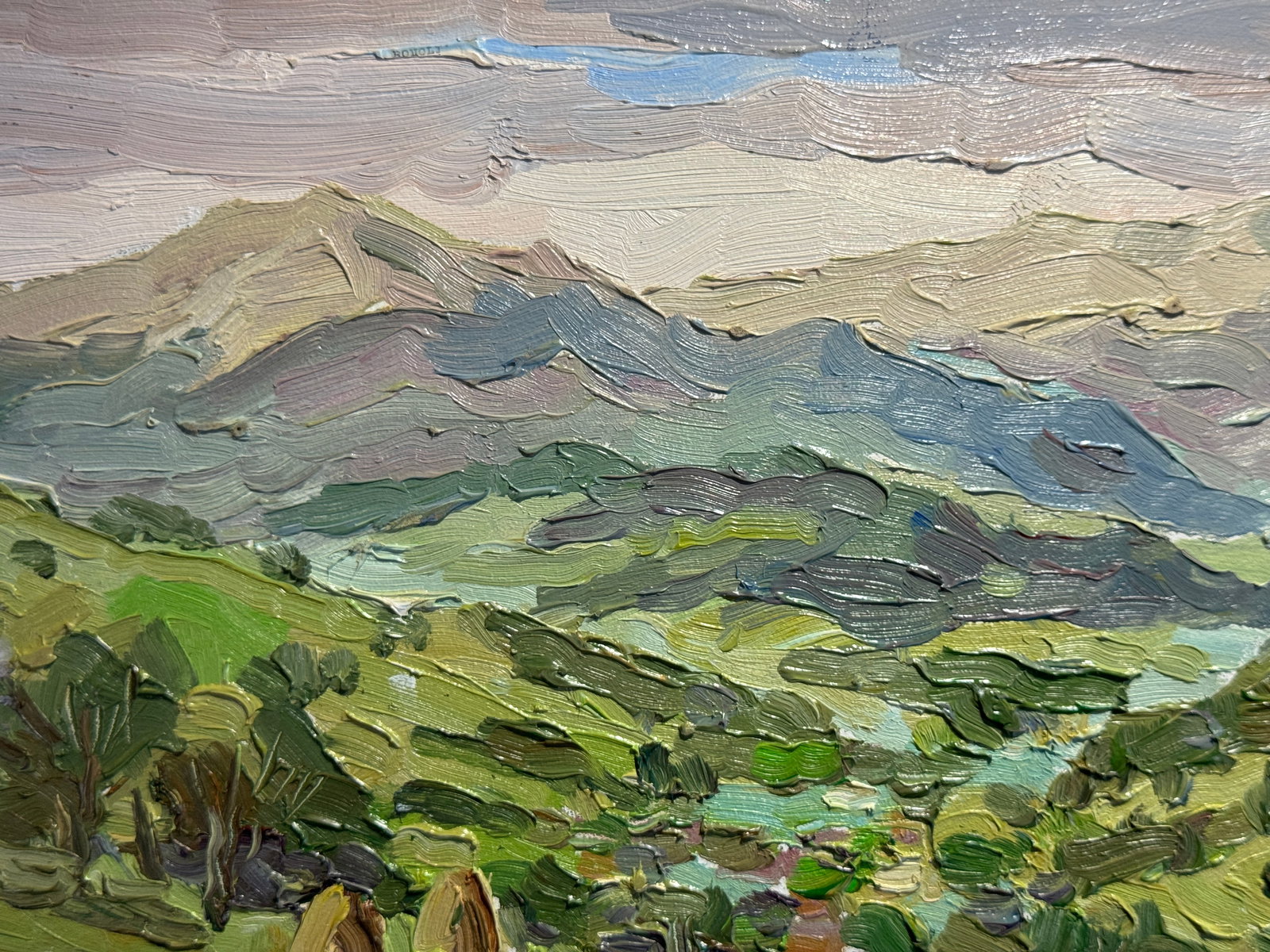 Oil painting village in the Carpathians K. Leonid - 2