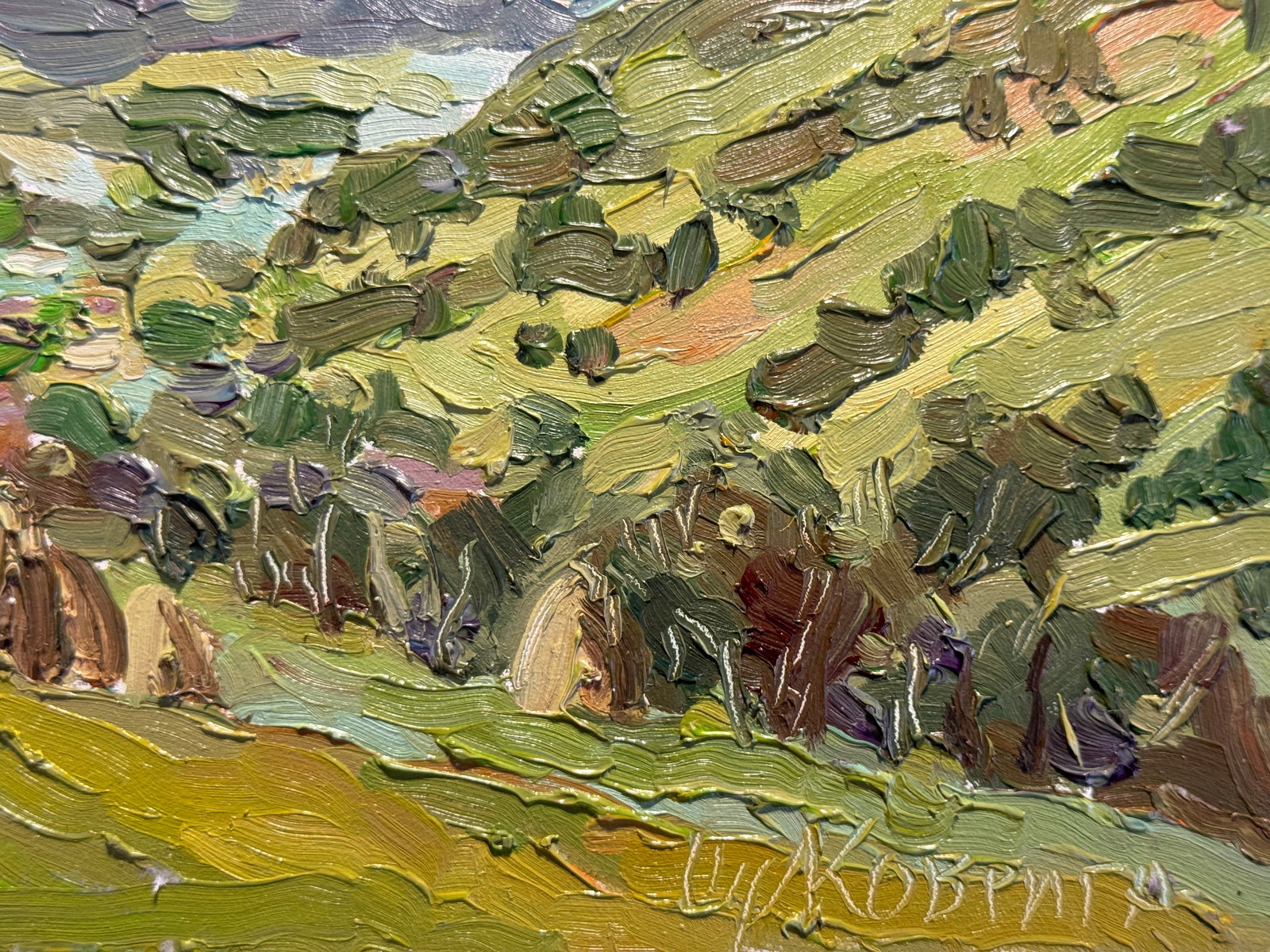 Oil painting village in the Carpathians K. Leonid - 4