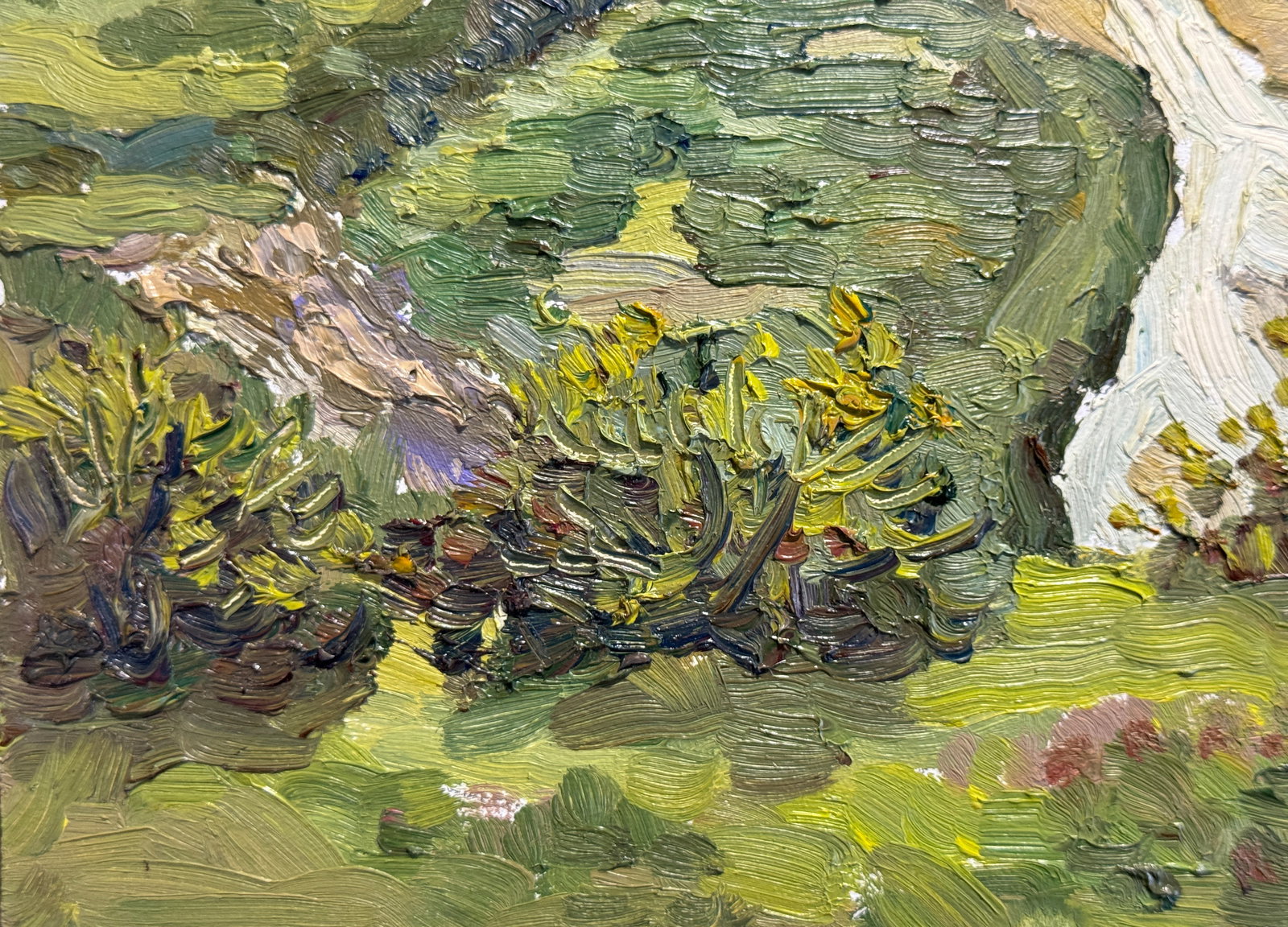 Oil painting village in the Carpathians K. Leonid - 5