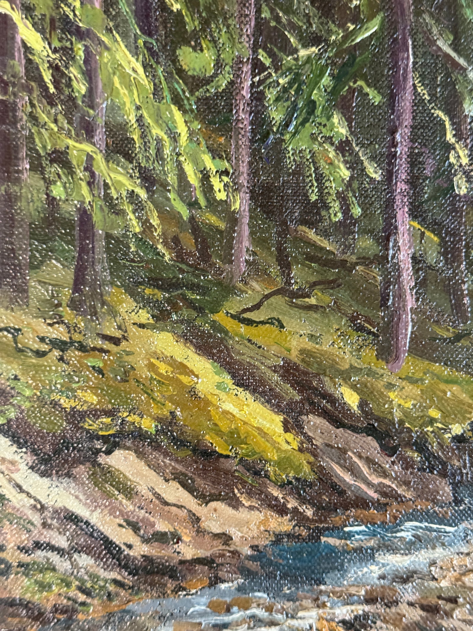 Oil painting with frame in the Carpathians K. Leonid - 6