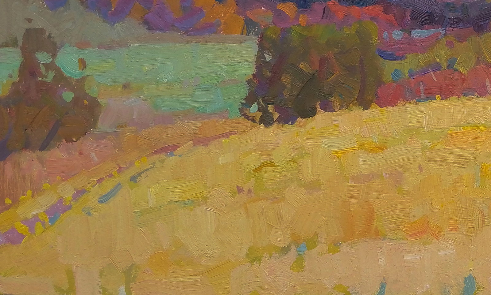Oil painting Sun in the field Igor Tuzhikov - 3