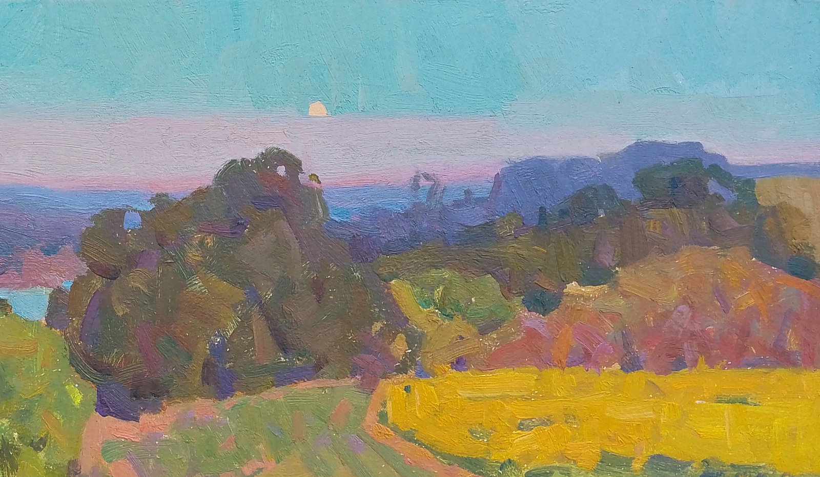 Oil painting The last rays of the sun Igor Tuzhikov - 5
