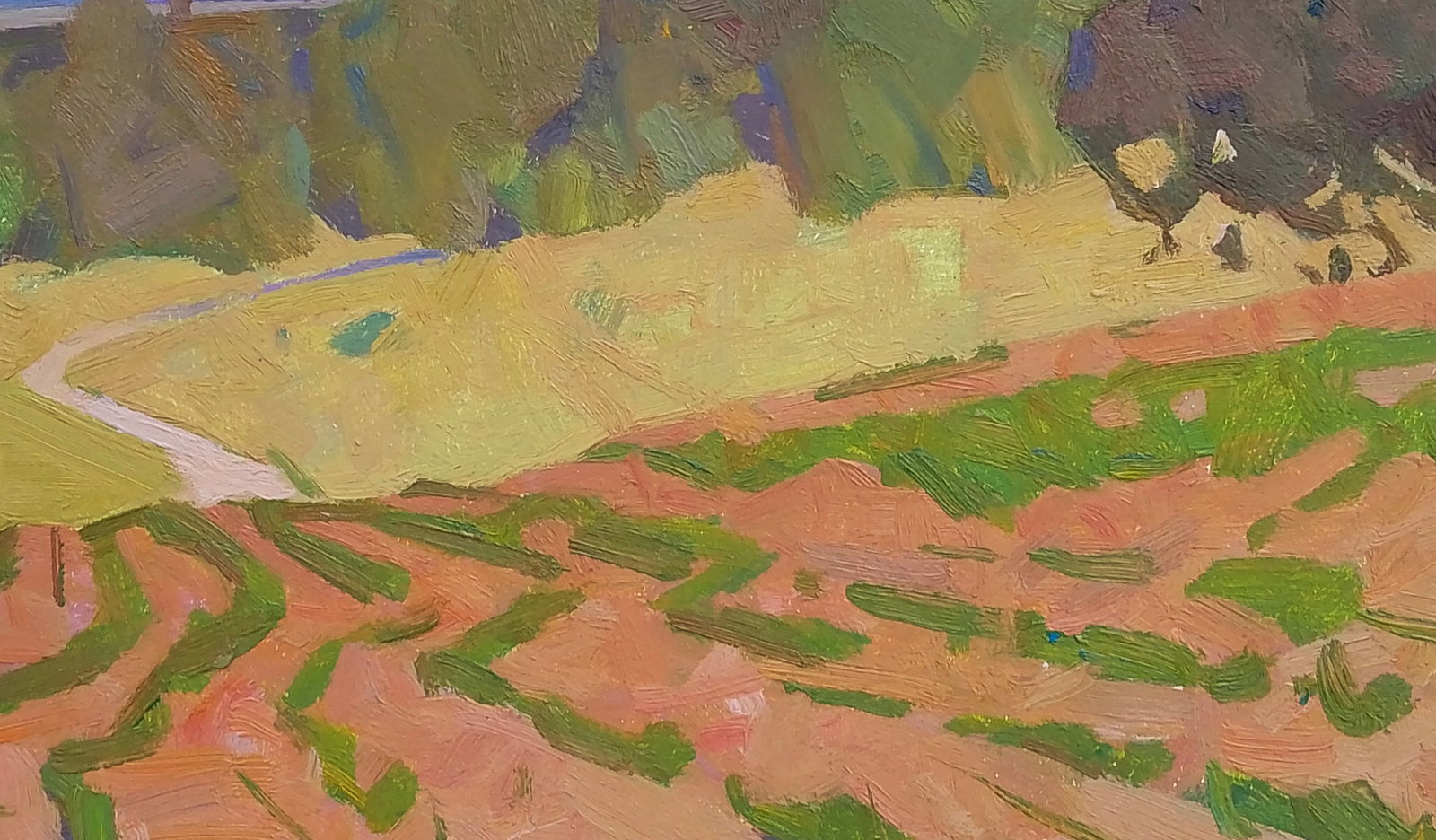 Oil painting A bright vegetable garden Igor Tuzhikov - 6