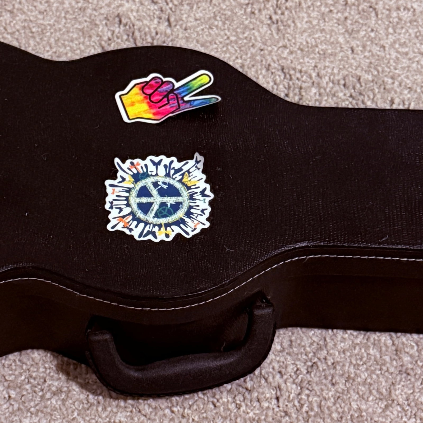 Guitar Shaped Storage Case - 4