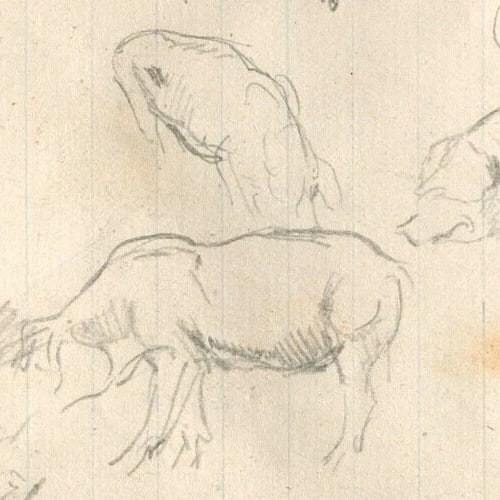 Pig, House, Trees Sketches Artwork Vintage Pencil Original Pencil Drawing - 6
