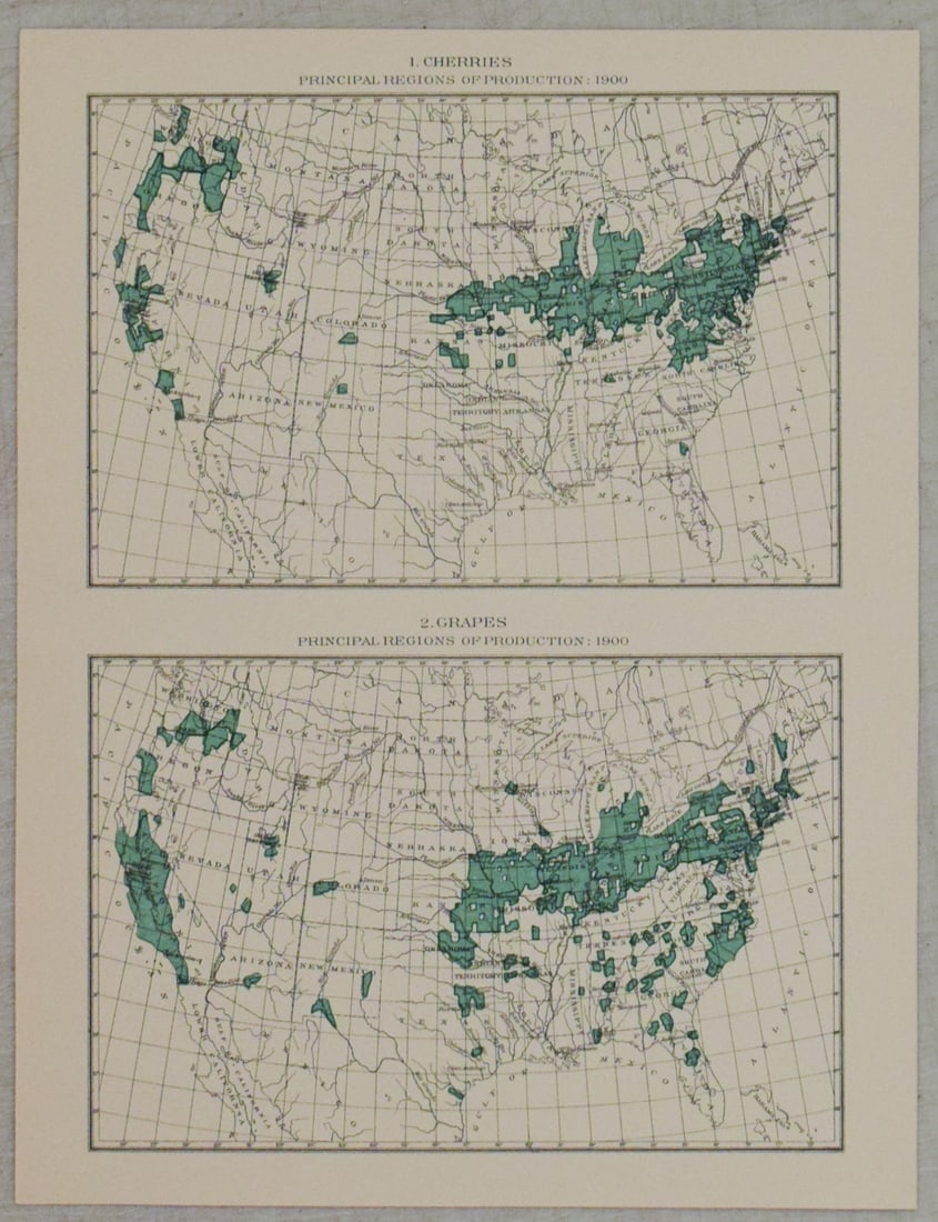 1900 US Census Cherry and Grape Producing Regions -- 1. Cherries Principal Regions of Production: Title:1900 US Census Cherry and Grape Producing Regions -- 1. Cherries Principal Regions of Production 1900 [on sheet with] 2. Grapes Principal Regions of Production 1900,li>Cartographer:US Census