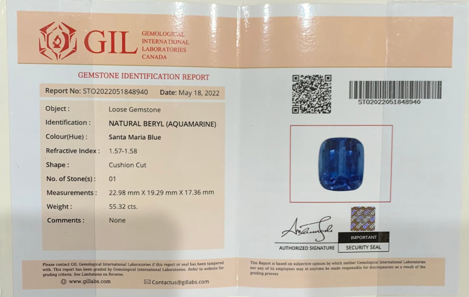 55.32 Carat Santa Maria Aquamarine Gemstone: Deep Blue Cushion Cut - 8