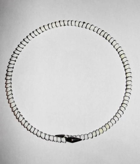 Eddie Borgo White Enamel Silver Plated Serpent Collar Necklace: Title:Eddie Borgo White Enamel Silver Plated Serpent Collar Necklace Description:Gorgeous serpent necklace by Eddie Borgo. White enamel plated in silver over brass. Measures 9 mm's in diameter.