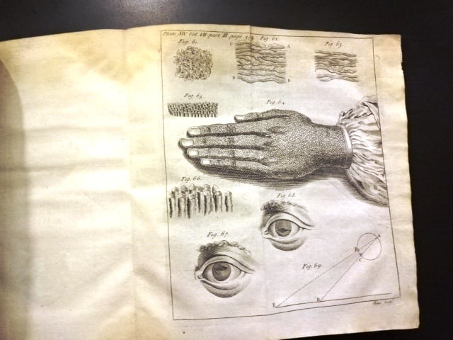 1734 Philosophical Transactions Anatomy Folding Plates - 2