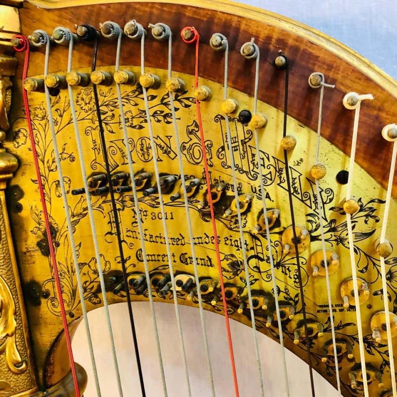 1915 Premium Style 23 Gold Lyon and Healy Concert Grand Harp - 8