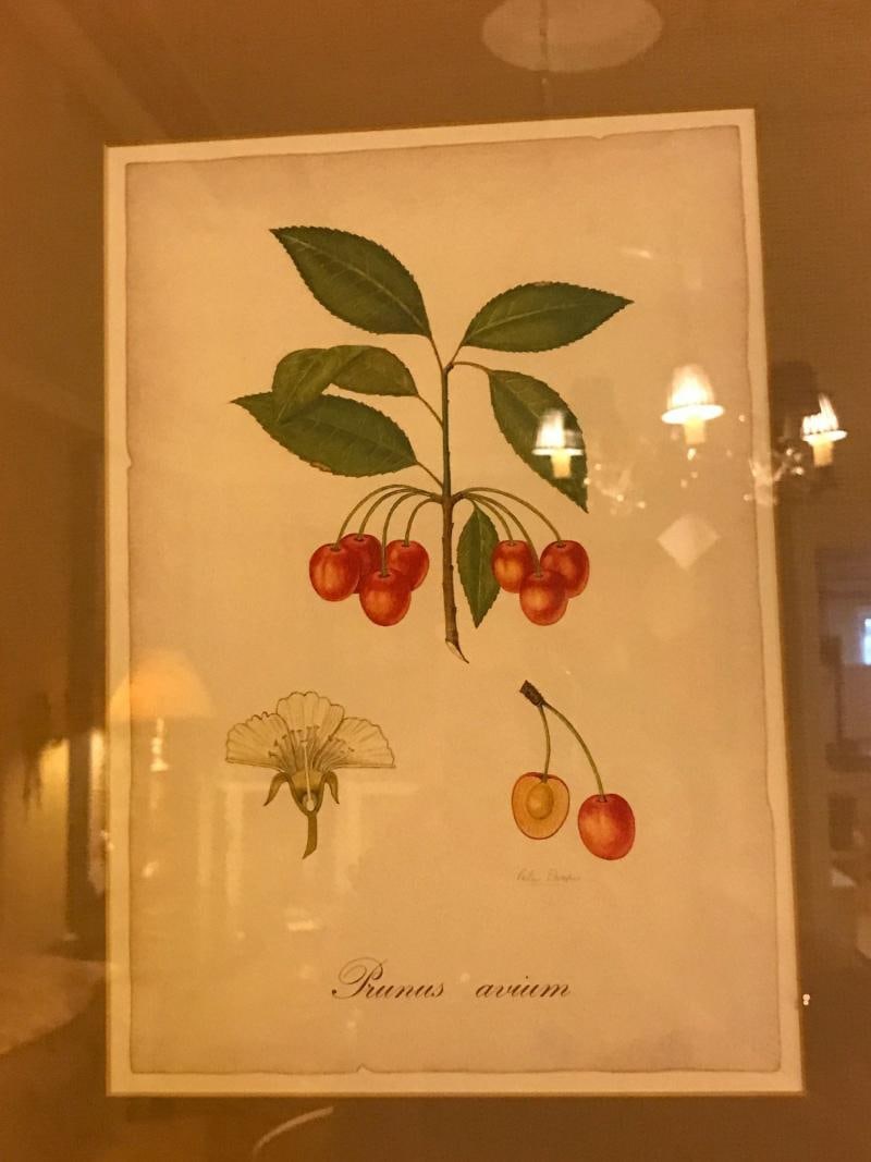 Set of Seven Botanical Prints of Fruit Signed Peter Drafet - 6