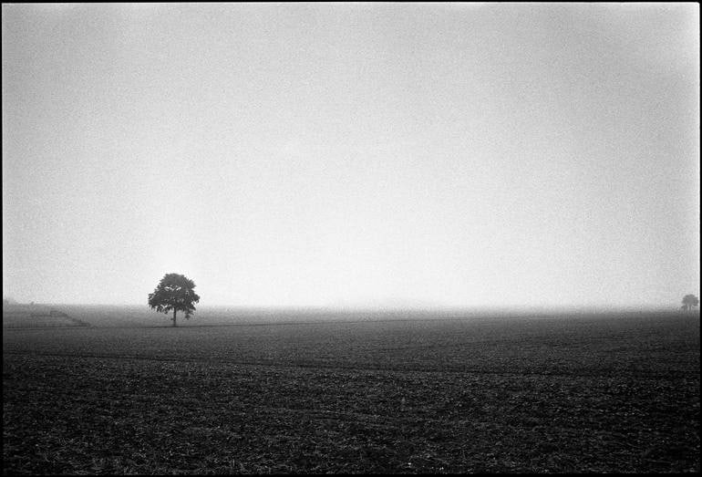 Mickfield Ii, Eye, Suffolk - Silver Gelatin Photograph: Title: Mickfield Ii, Eye, Suffolk - Silver Gelatin Photograph Description: 20 x 16 in Medium: Mickfield II, Eye, Suffolk - Silver Gelatin Photograph - Limited Edition of 10 Paul Cooklin United Kingdom