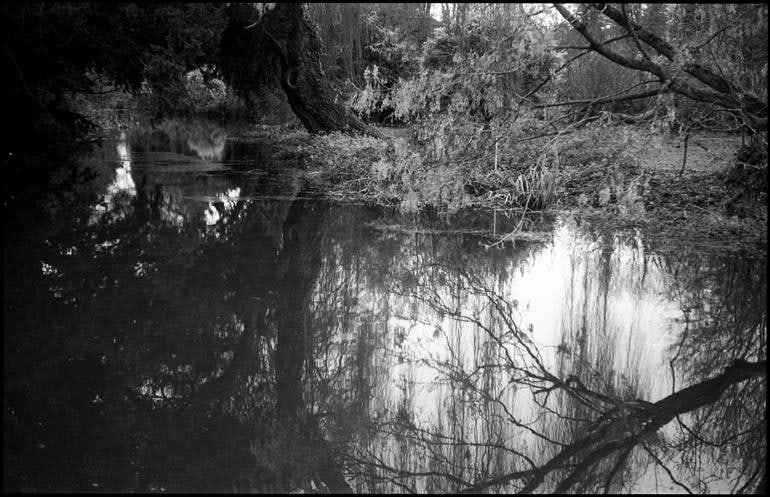 Lake Iv, Kent - Silver Gelatin Photograph: Title: Lake Iv, Kent - Silver Gelatin Photograph Description: 20 x 16 in Medium: Lake IV, Kent - Silver Gelatin Photograph - Limited Edition of 10 Paul Cooklin United Kingdom Photography, Black & Whit