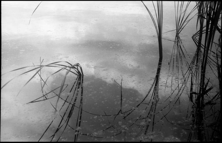 Lake Iii, Kent - Silver Gelatin Photograph: Title: Lake Iii, Kent - Silver Gelatin Photograph Description: 20 x 16 in Medium: Lake III, Kent - Silver Gelatin Photograph - Limited Edition of 10 Paul Cooklin United Kingdom Photography, Black & Wh