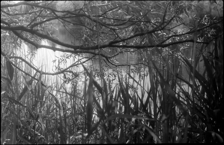 Lake Ii, Kent - Silver Gelatin Photograph: Title: Lake Ii, Kent - Silver Gelatin Photograph Description: 20 x 16 in Medium: Lake II, Kent - Silver Gelatin Photograph - Limited Edition of 10 Paul Cooklin United Kingdom Photography, Black &