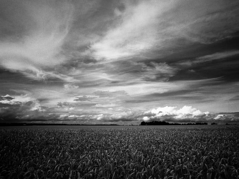 Skyscape, Occold, Suffolk - Silver Gelatin Photograph: Title: Skyscape, Occold, Suffolk - Silver Gelatin Photograph Description: 20 x 16 in Medium: Skyscape, Occold, Suffolk - Silver Gelatin Photograph - Limited Edition of 10 Paul Cooklin United Kingdom