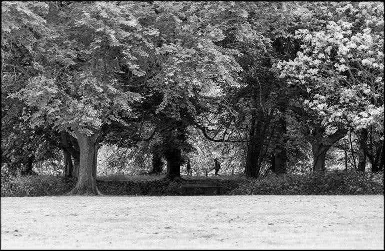 Treeline, Anglesey Abbey, Cambridge - Silver Gelatin Photograph: Title: Treeline, Anglesey Abbey, Cambridge - Silver Gelatin Photograph Description: 20 x 16 in Medium: Treeline, Anglesey Abbey, Cambridge - Silver Gelatin Photograph - Limited Edition of 10 Paul