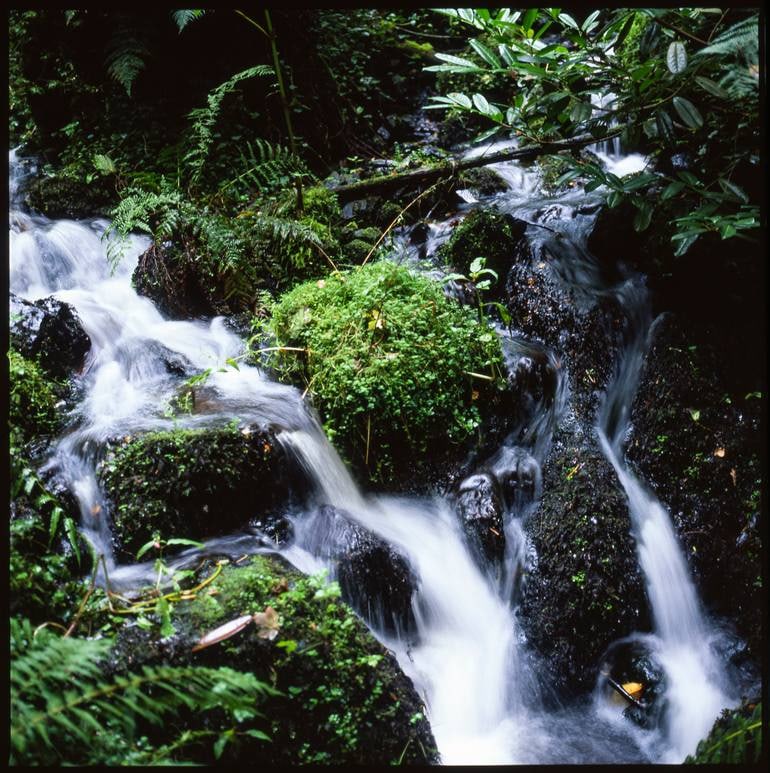 Canonteign Falls, Devon - Giclee Photograph (1 of 3)