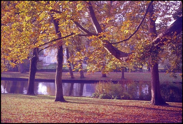 Autumn. Bruges, Belgium - C Type Photograph: Title: Autumn. Bruges, Belgium - C Type Photograph Description: 16 x 20 in Medium: Autumn. Bruges, Belgium - C Type Photograph - Limited Edition of 10 Paul Cooklin United Kingdom Photography, C-Type