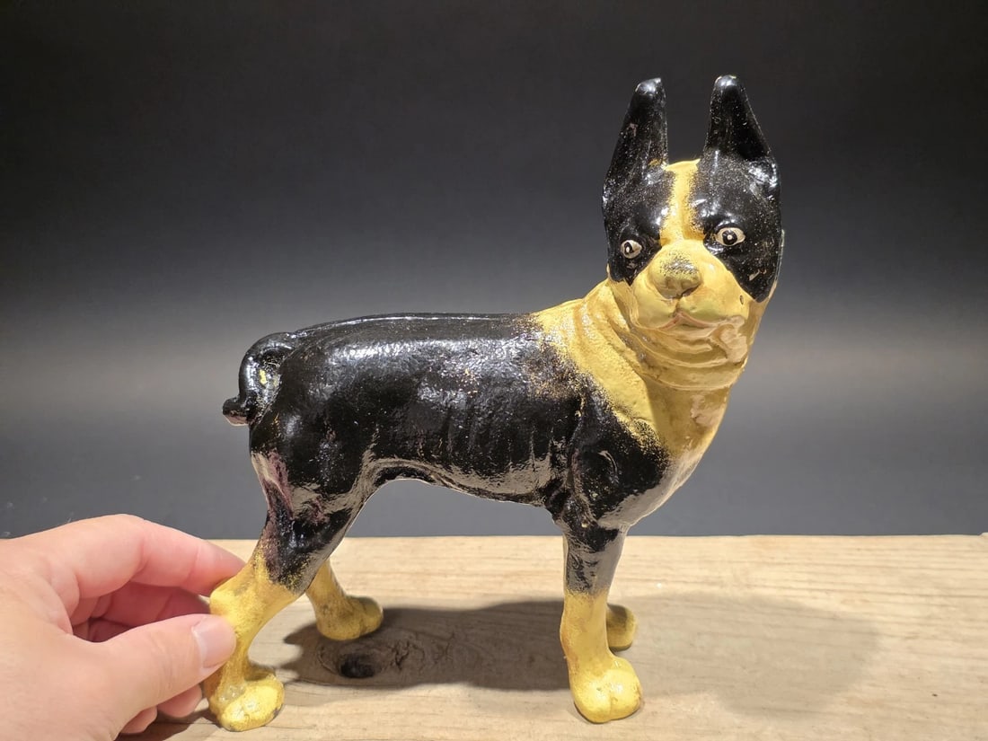 Cast Iron Boston Terrier Dog Door Stop Coin Bank: 8" Tall Great little reproduction cast iron boston terrier dog. All cast iron hand painted, slightly distressed as shown in the images. Certainly looks old! See our other miniature cast iron animals! 