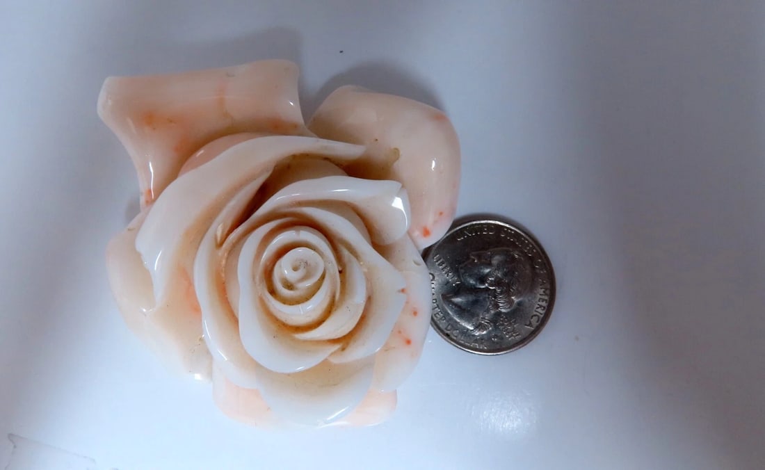 GIA Certified Carved Coral - 2