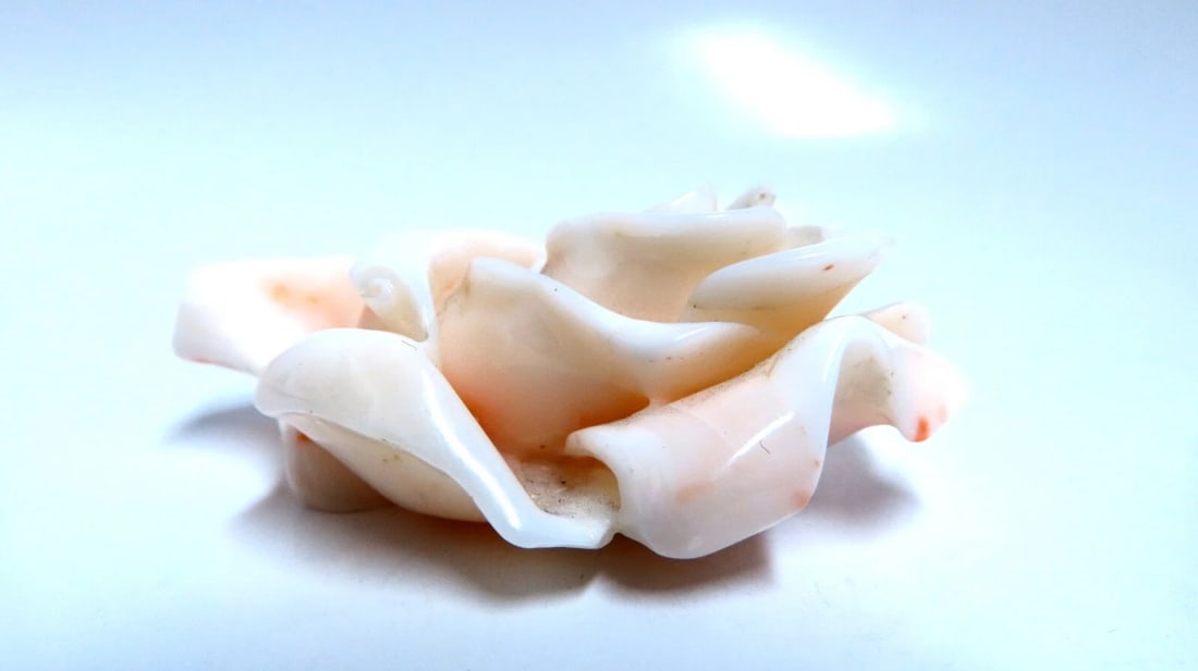 GIA Certified Carved Coral - 3