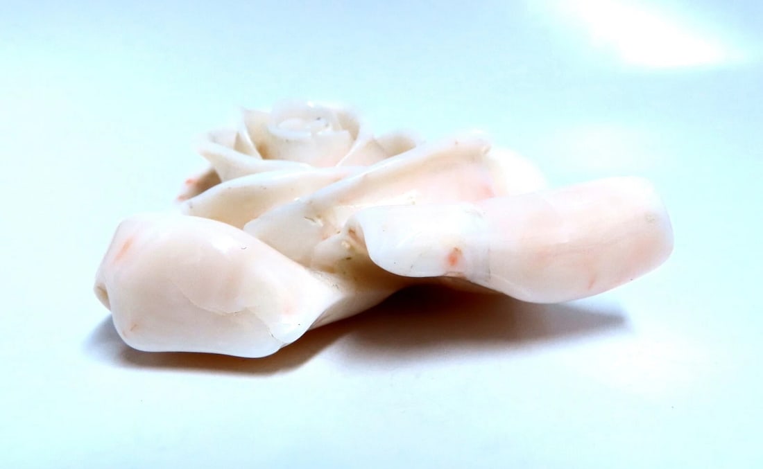 GIA Certified Carved Coral - 5