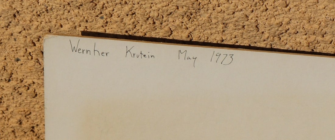 WERNHER KRUTEIN Original Photograph Redwood Trees 1973 - 7