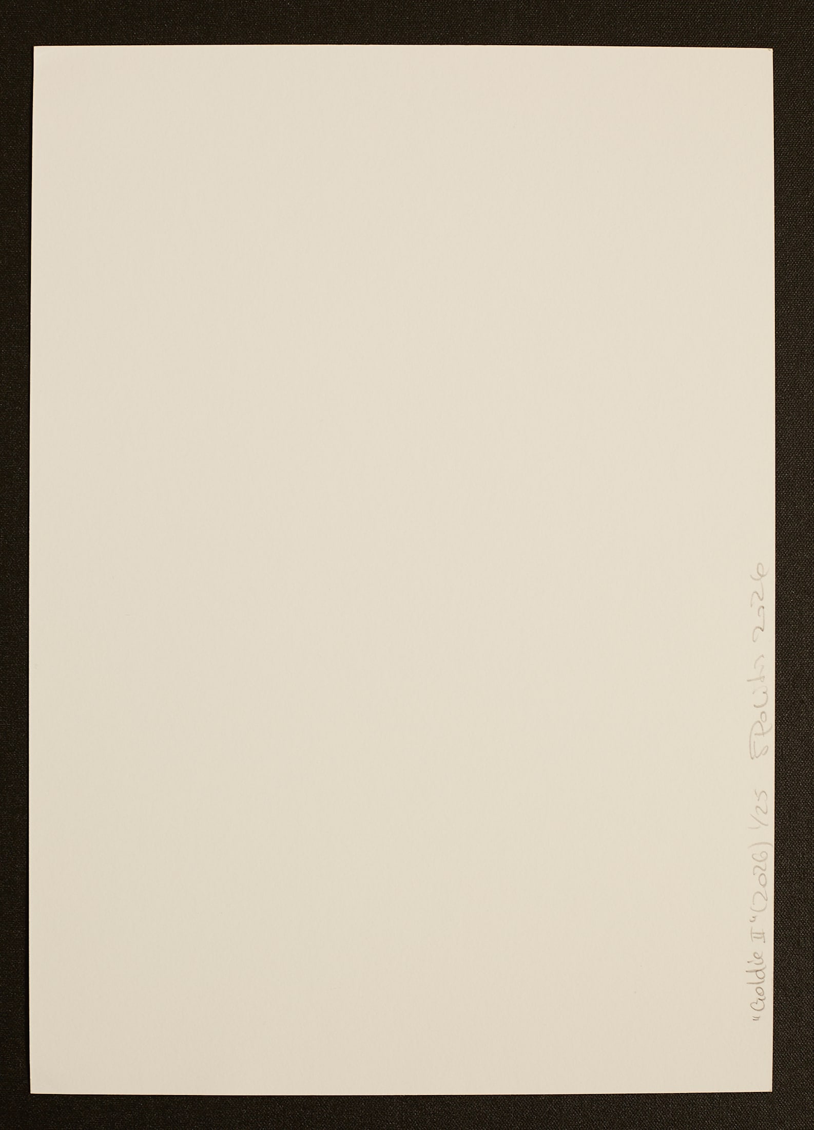 Goldie II - 5