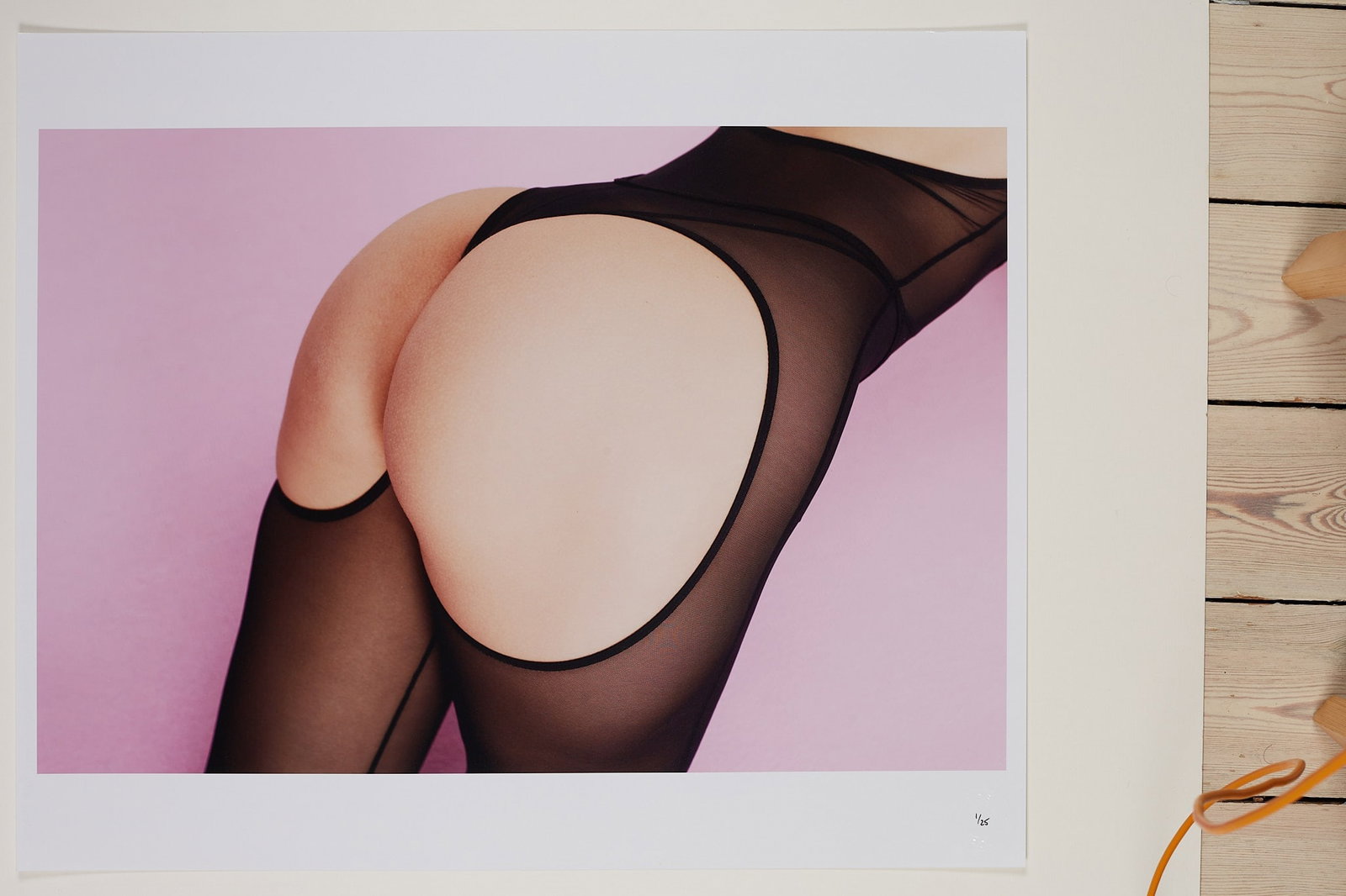 Pink Posterior - 2