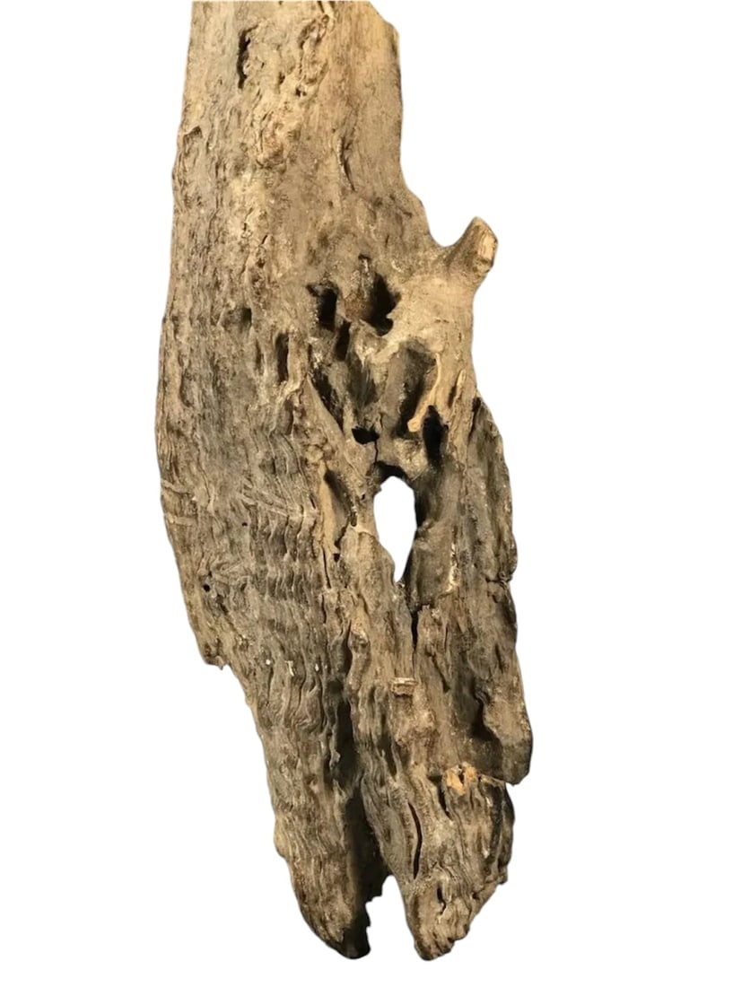 Bakota Reliquary Guardian Statue - 6