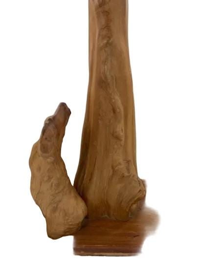 MCM Sculptural Cypress Root Table Lamp with Shade - 4